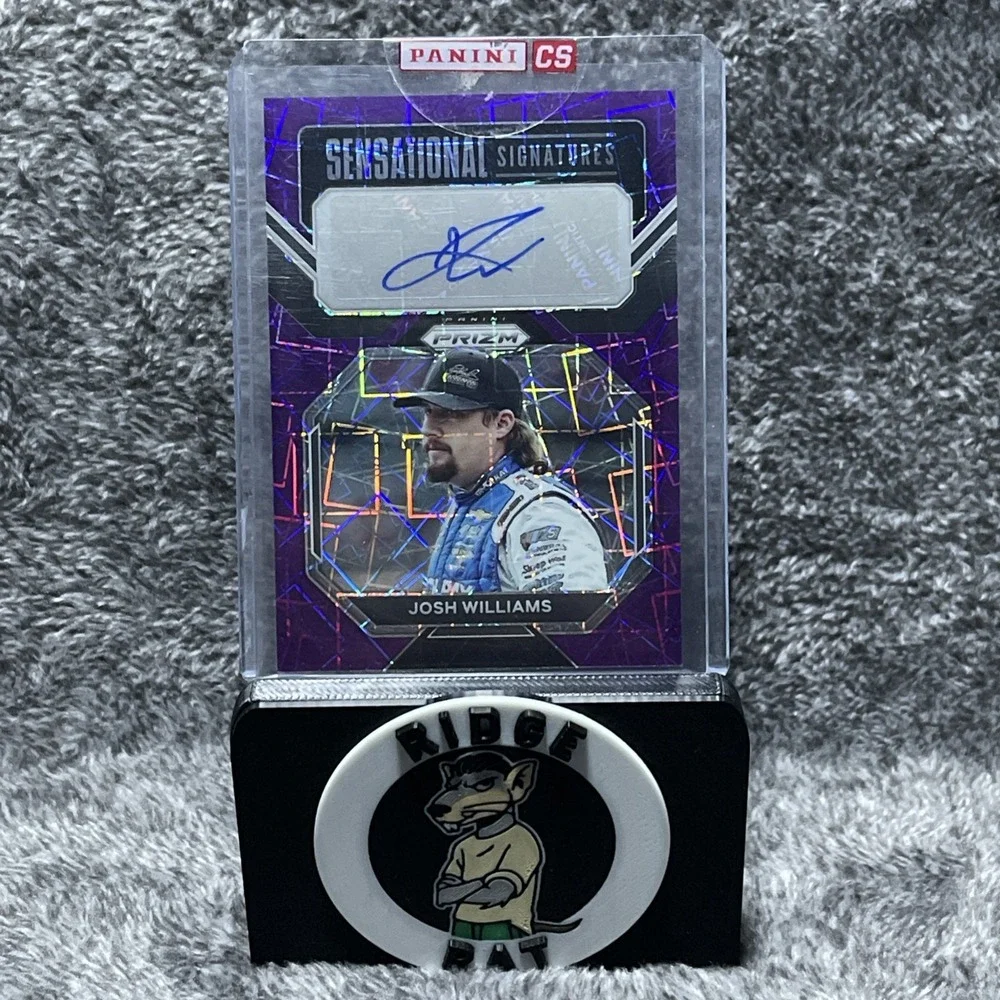 NASCAR 400+ Card Lot Autos SP #'d‎ Rookies Base Memorabilia Racing Cards